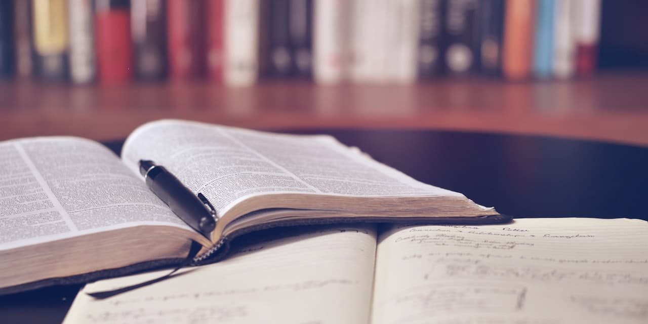 Duolingo vs Spaced Repetition for Developers: Honest Comparison